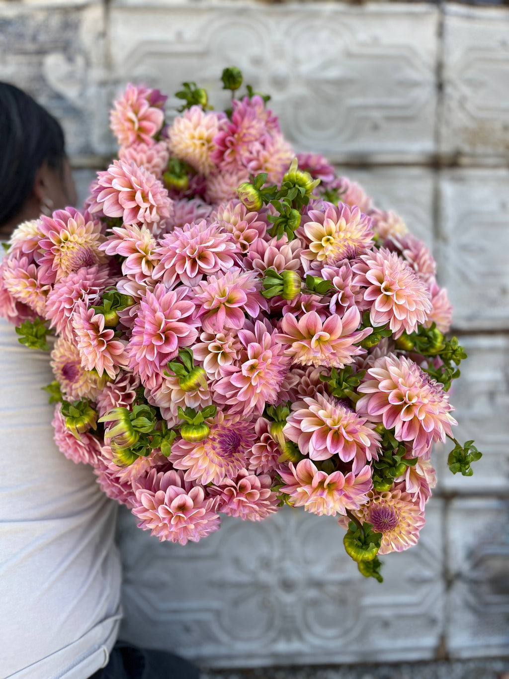 Dahlia Medium-Coralie